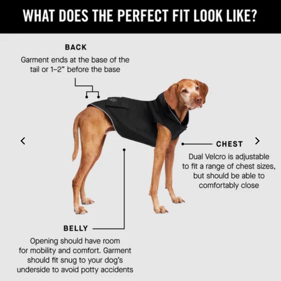 NWT, Canada Pooch Torrential Tracker Dog Raincoat, Waterproof, Pink, Size 22 - Picture 6 of 6